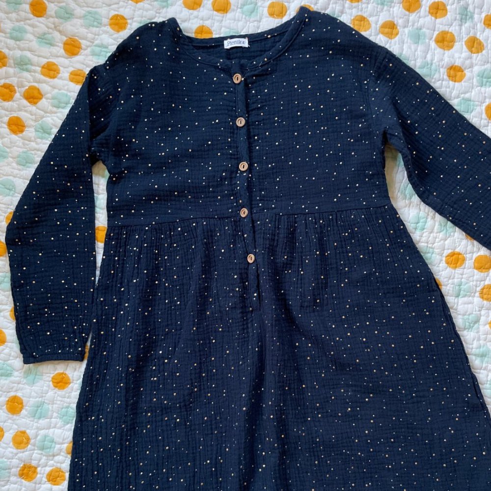 SOLD Picnik Night Sky Dress